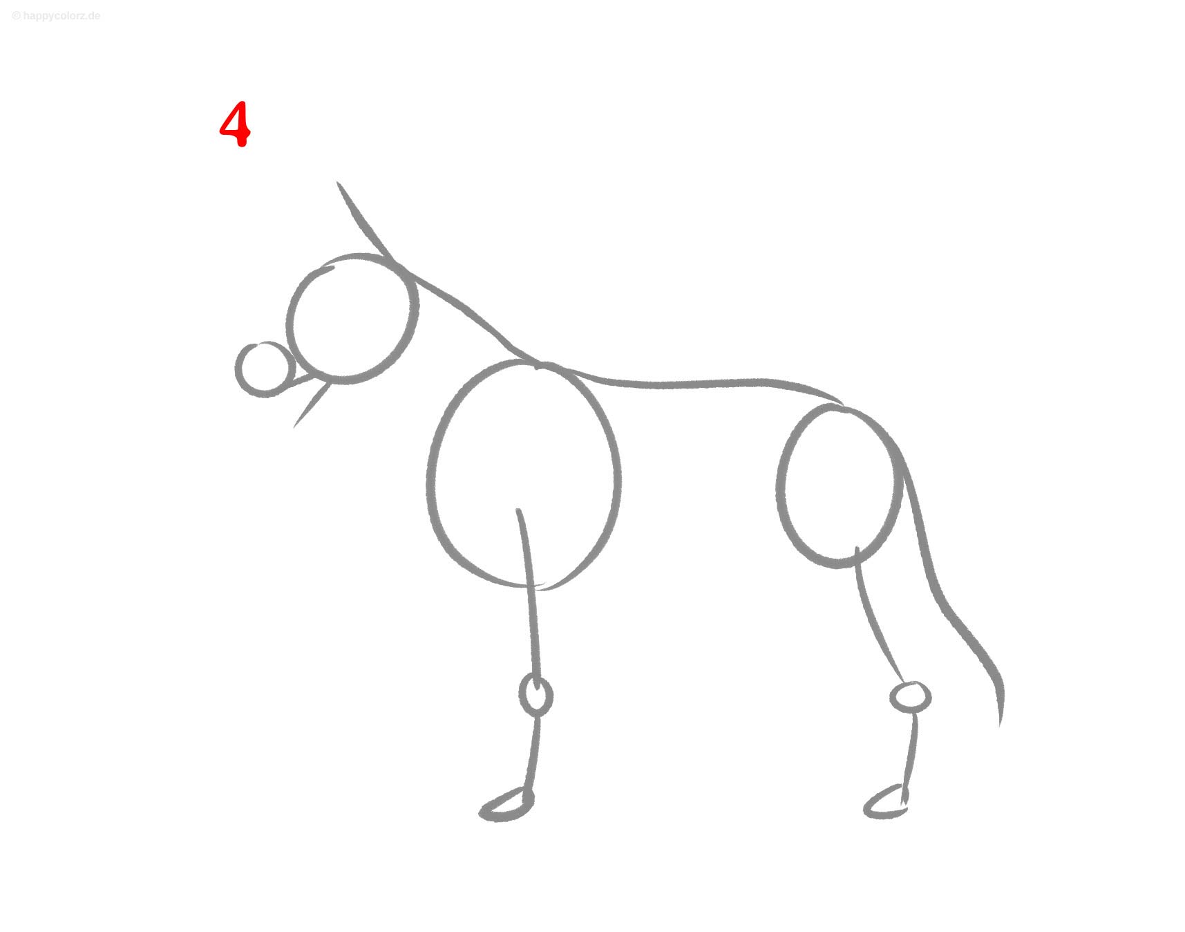 Hund Zeichnung - Schritt für Schritt