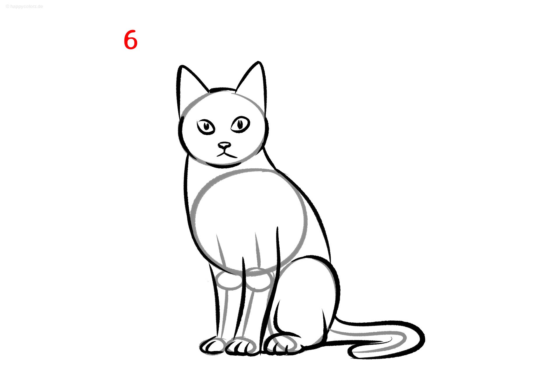 Katze zeichnen - Schritt für Schritt