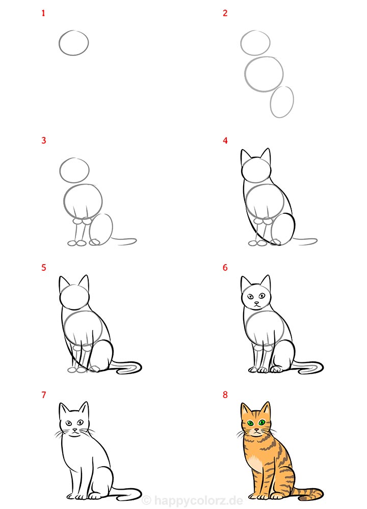 Katze zeichnen - Schritt für Schritt