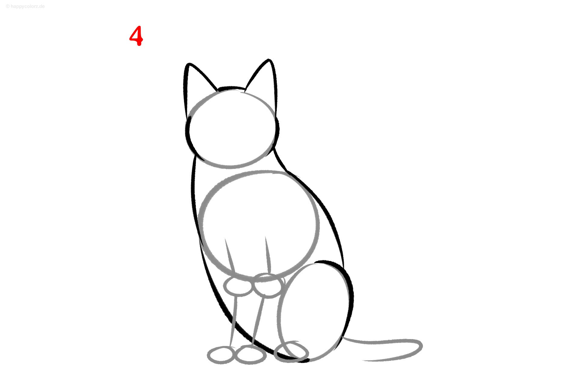 Katze Zeichnung - Schritt für Schritt