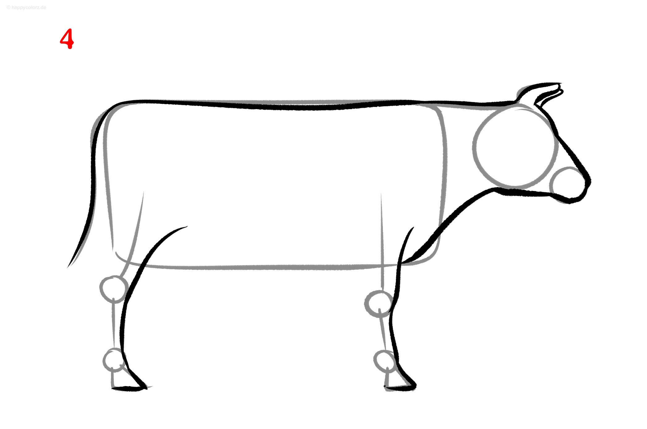 Kuh Zeichnung - Schritt für Schritt