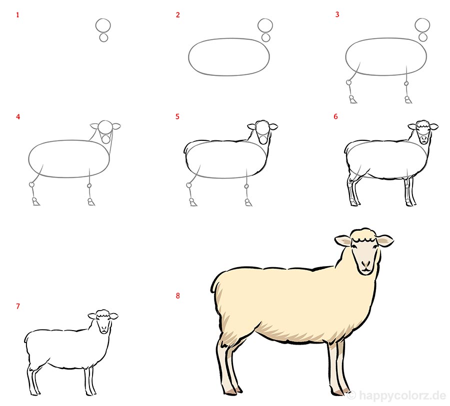 Schaf malen - Schritt für Schritt