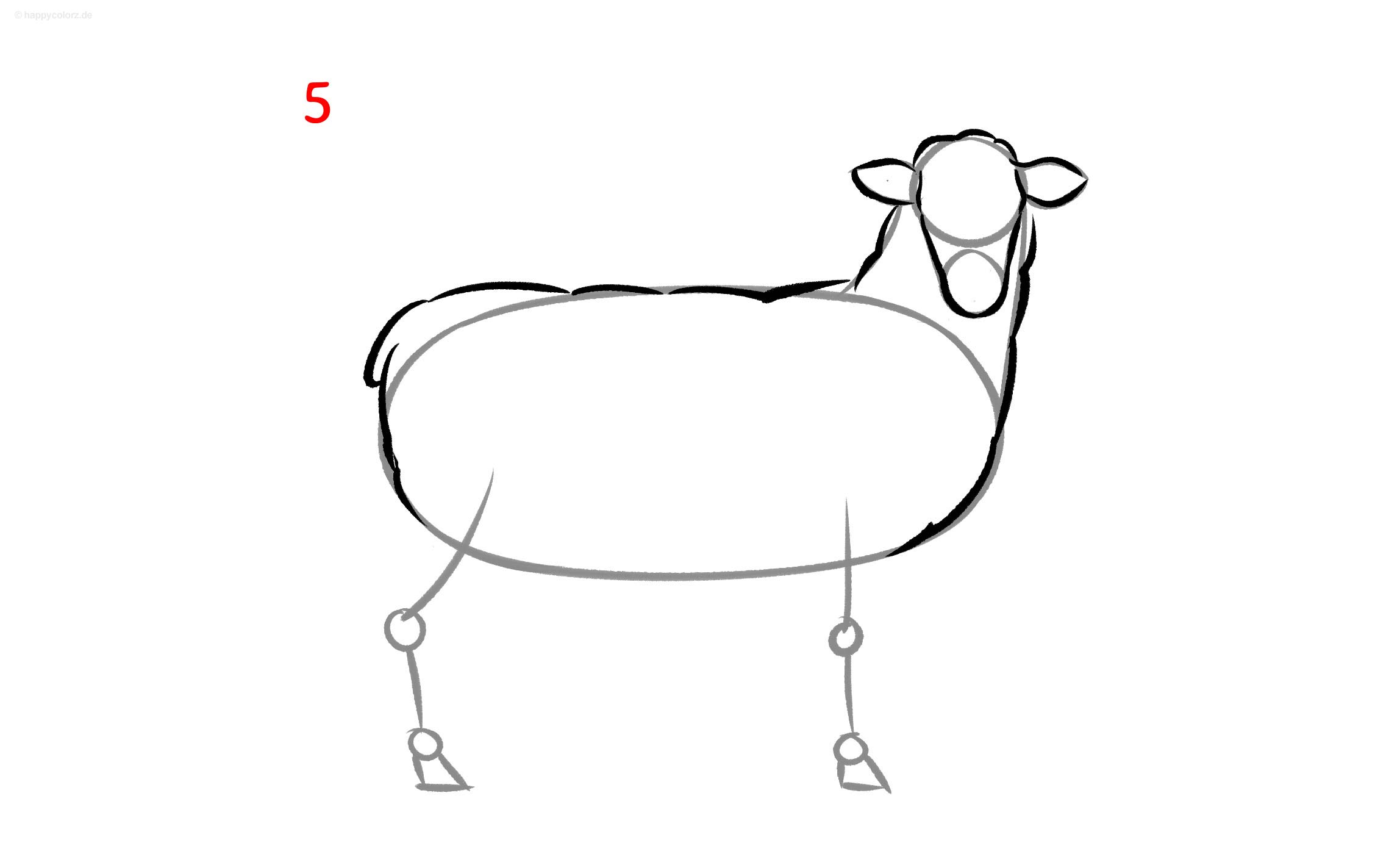 Schaf zeichnen - Schritt für Schritt