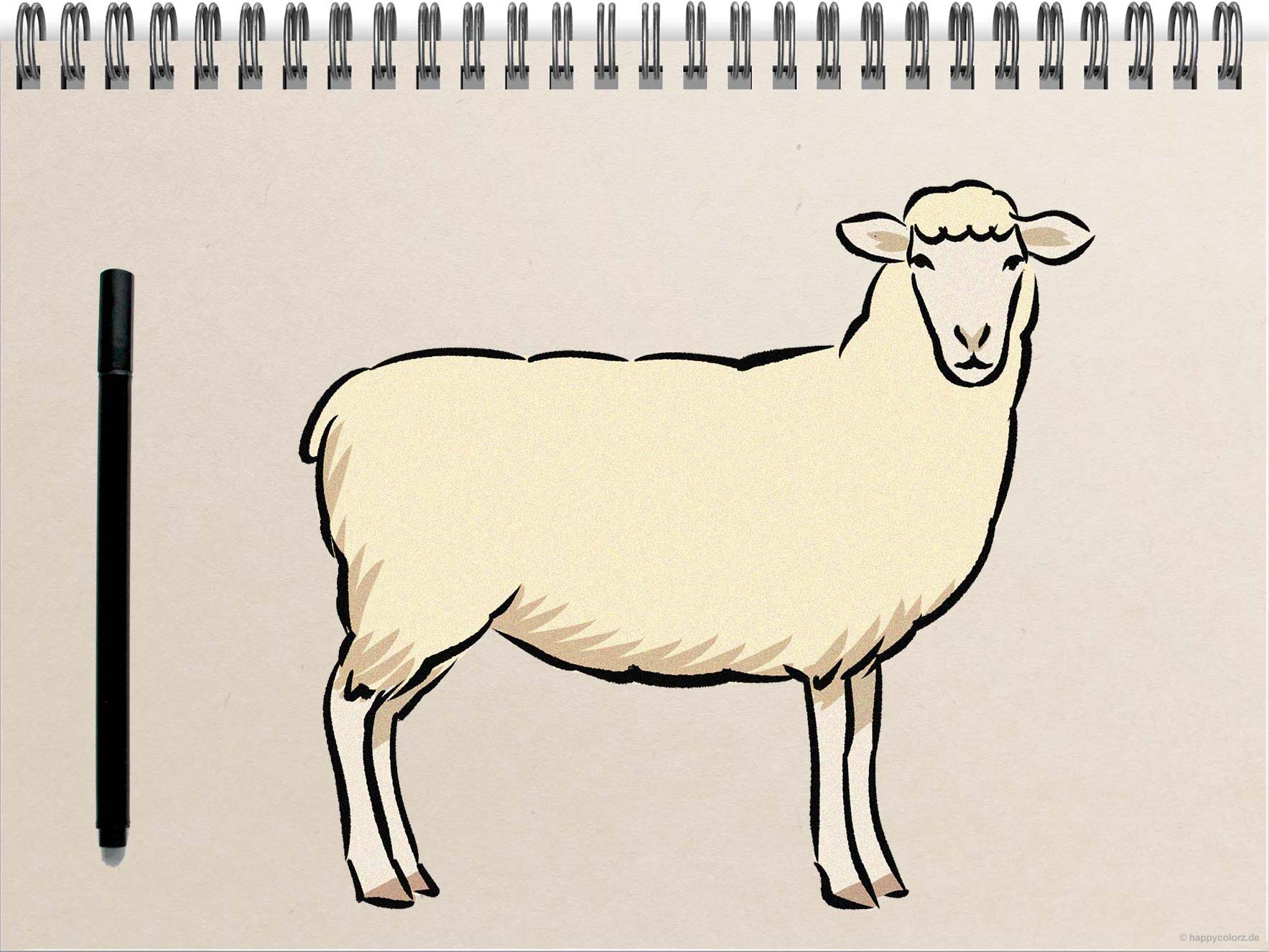 Schaf malen - Schritt-für-Schritt Anleitung mit Vorlagen