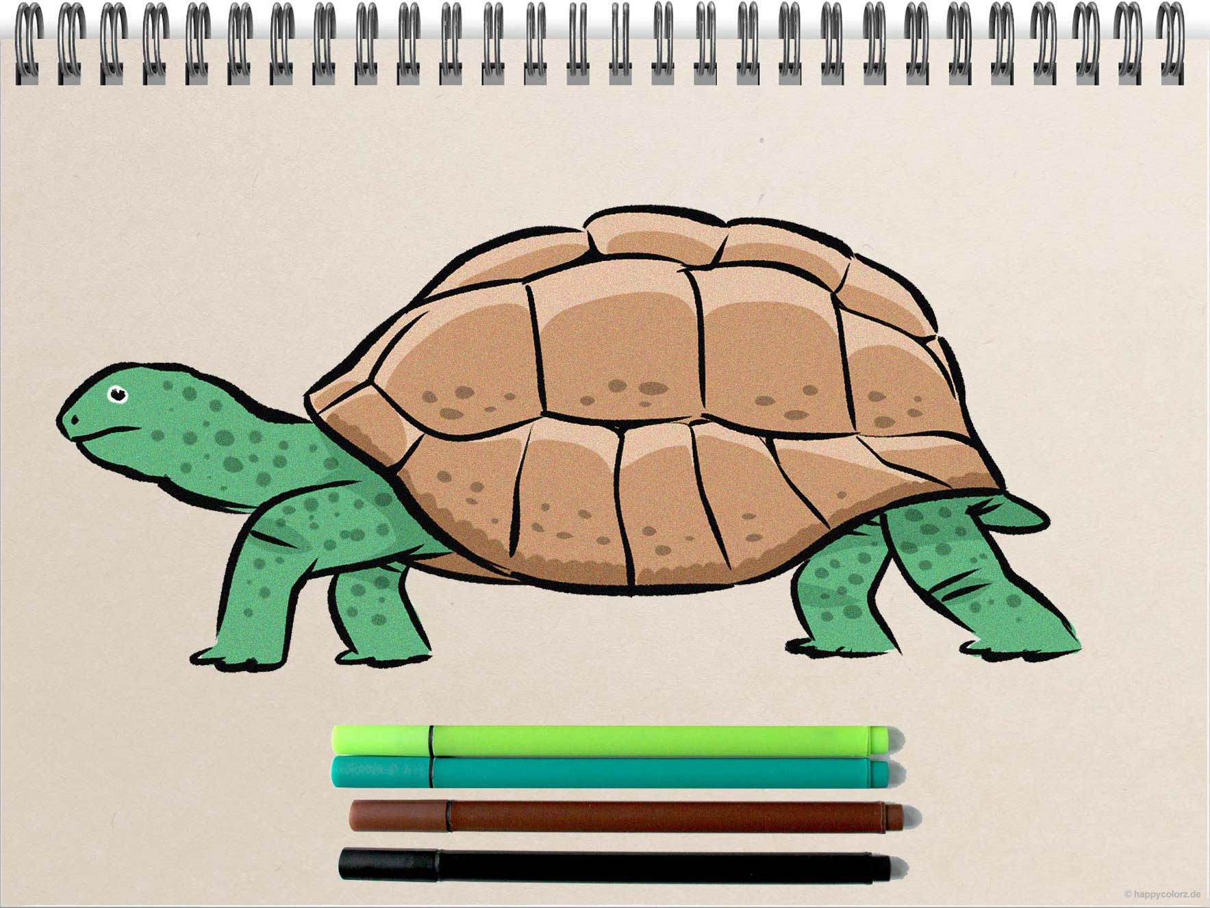 Schildkröte malen - Schritt für Schritt