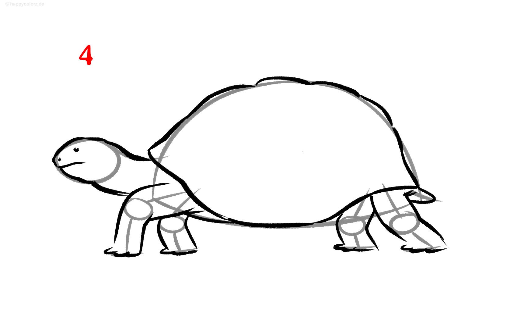 Schildkröte Zeichnung - Schritt für Schritt