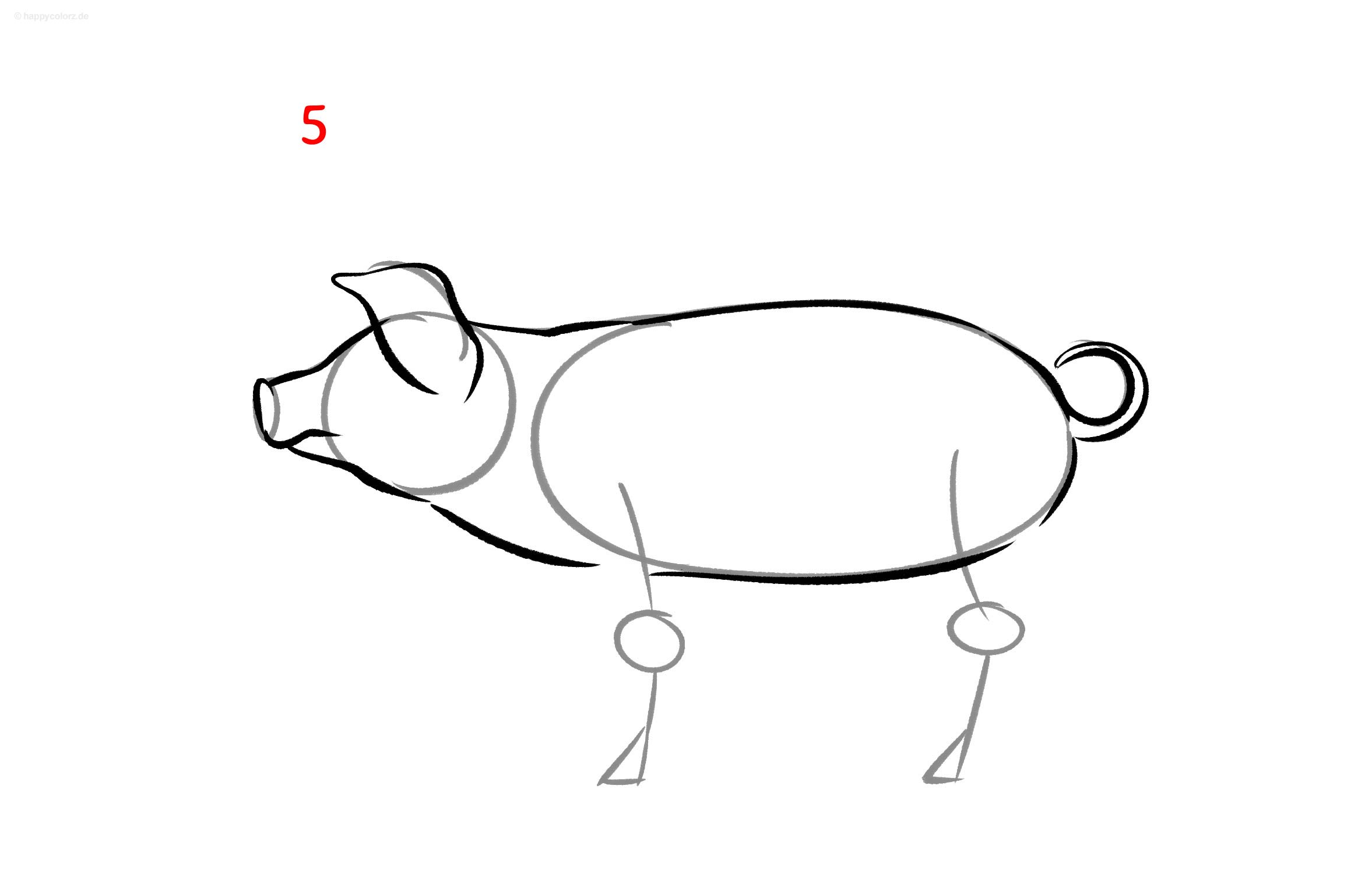 Schwein malen - Schritt für Schritt