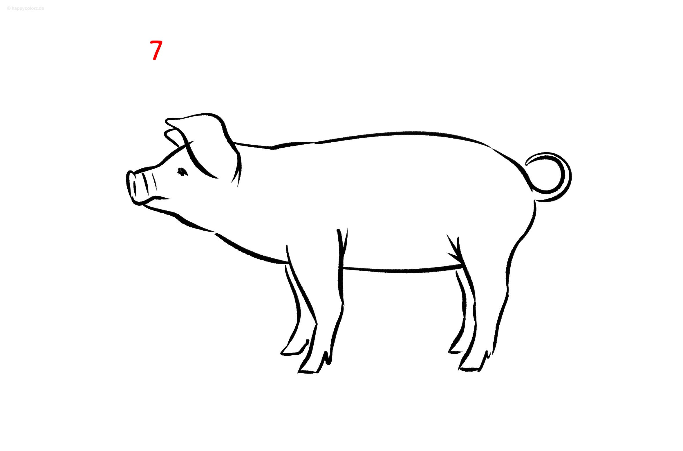 Anleitung: Schwein zeichnen