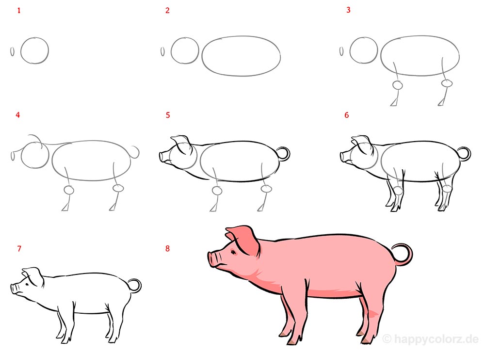 Schwein malen - Schritt für Schritt