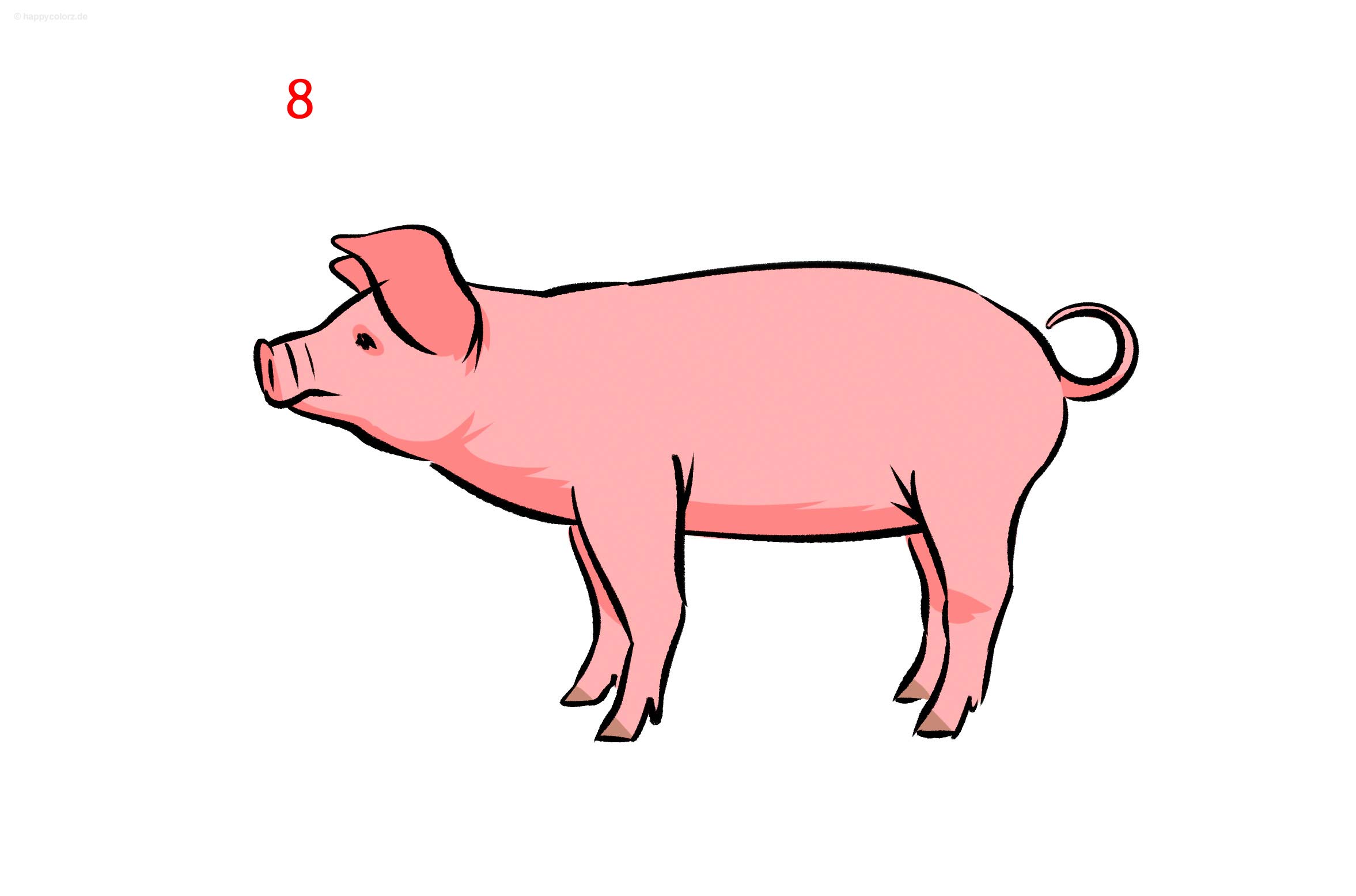 Schwein zeichnen - Schritt für Schritt