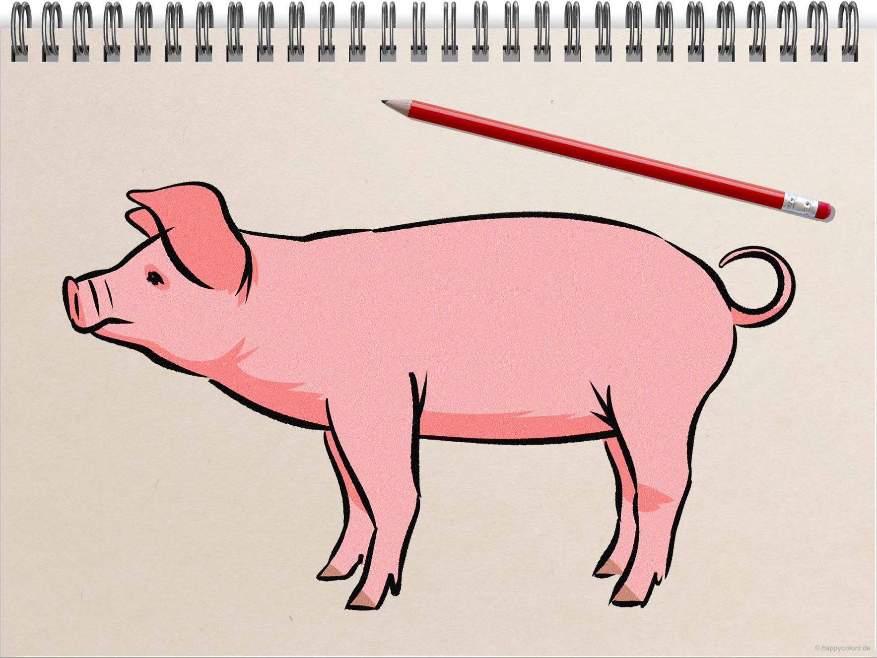 Schwein malen - Schritt-für-Schritt Anleitung mit Vorlagen