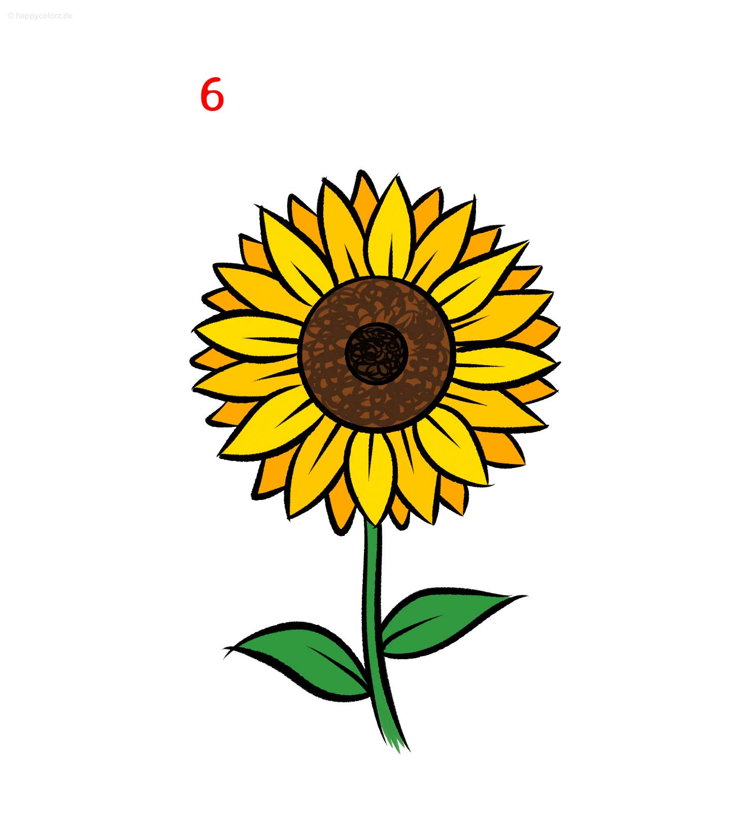 Sonnenblume malen - Schritt für Schritt