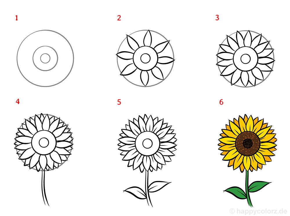 Sonnenblume Malen Schritt f r Schritt Anleitung Sonnenblume Zeichnen