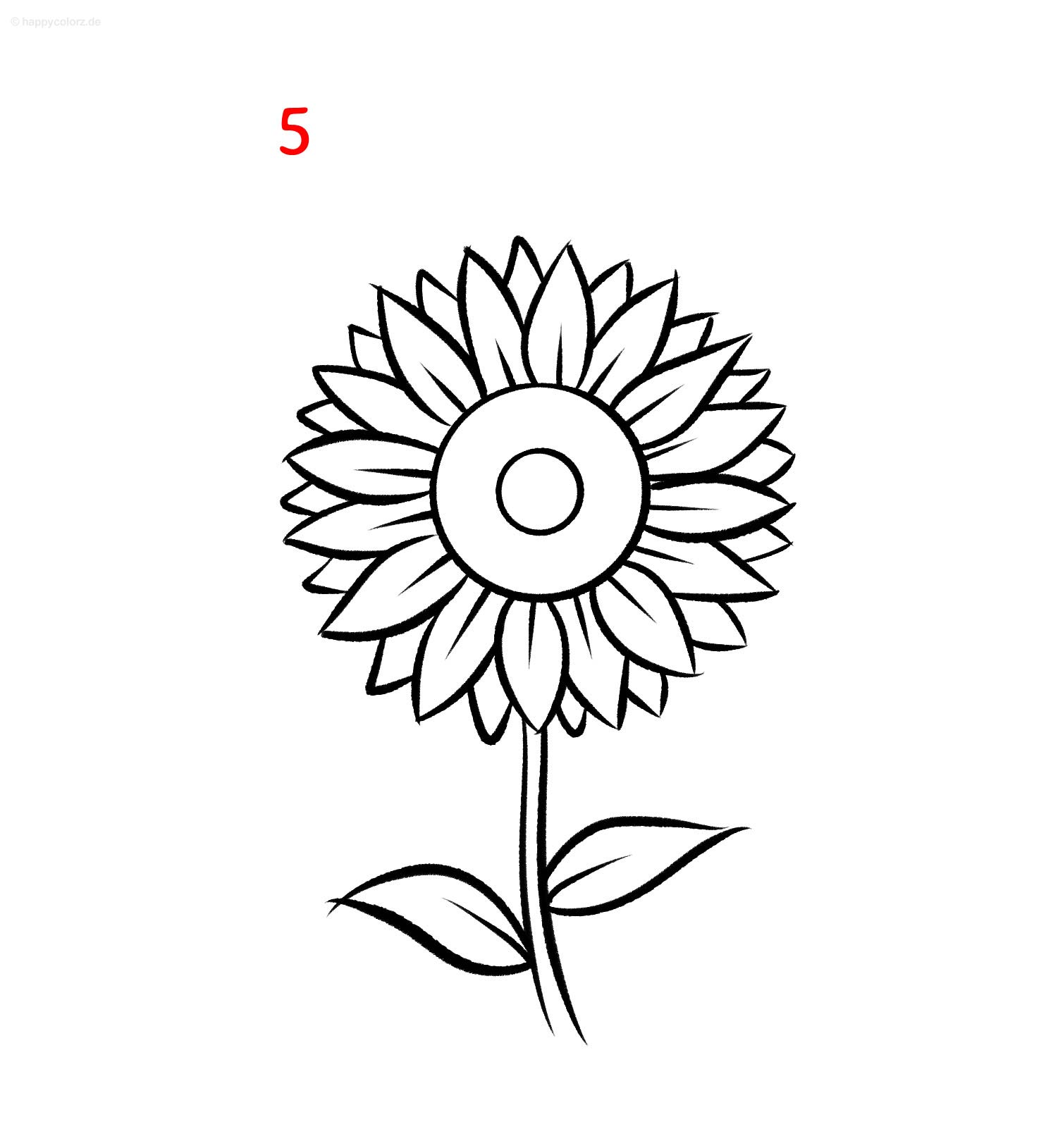 Sonnenblume zeichnen - Schritt für Schritt
