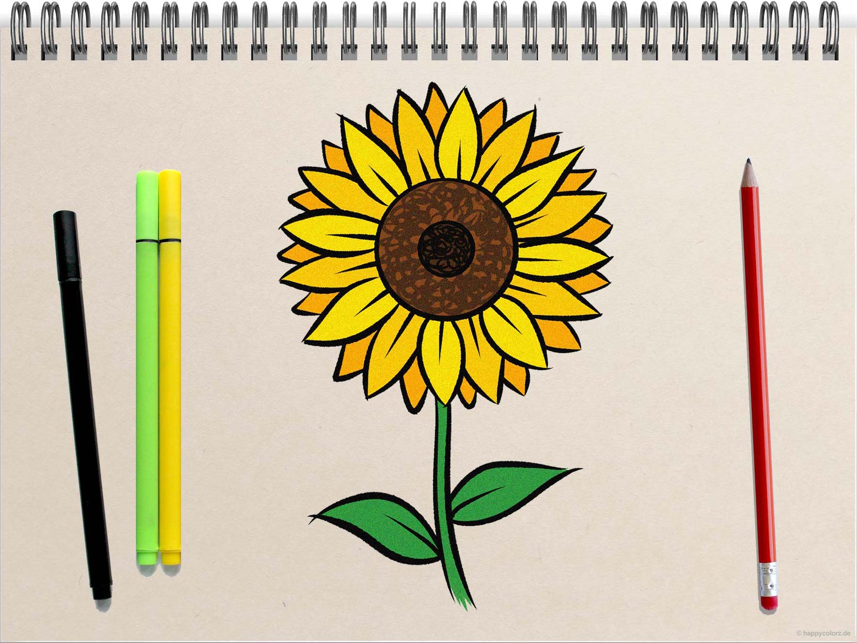 Sonnenblume malen - Schritt-für-Schritt Anleitung mit Vorlagen