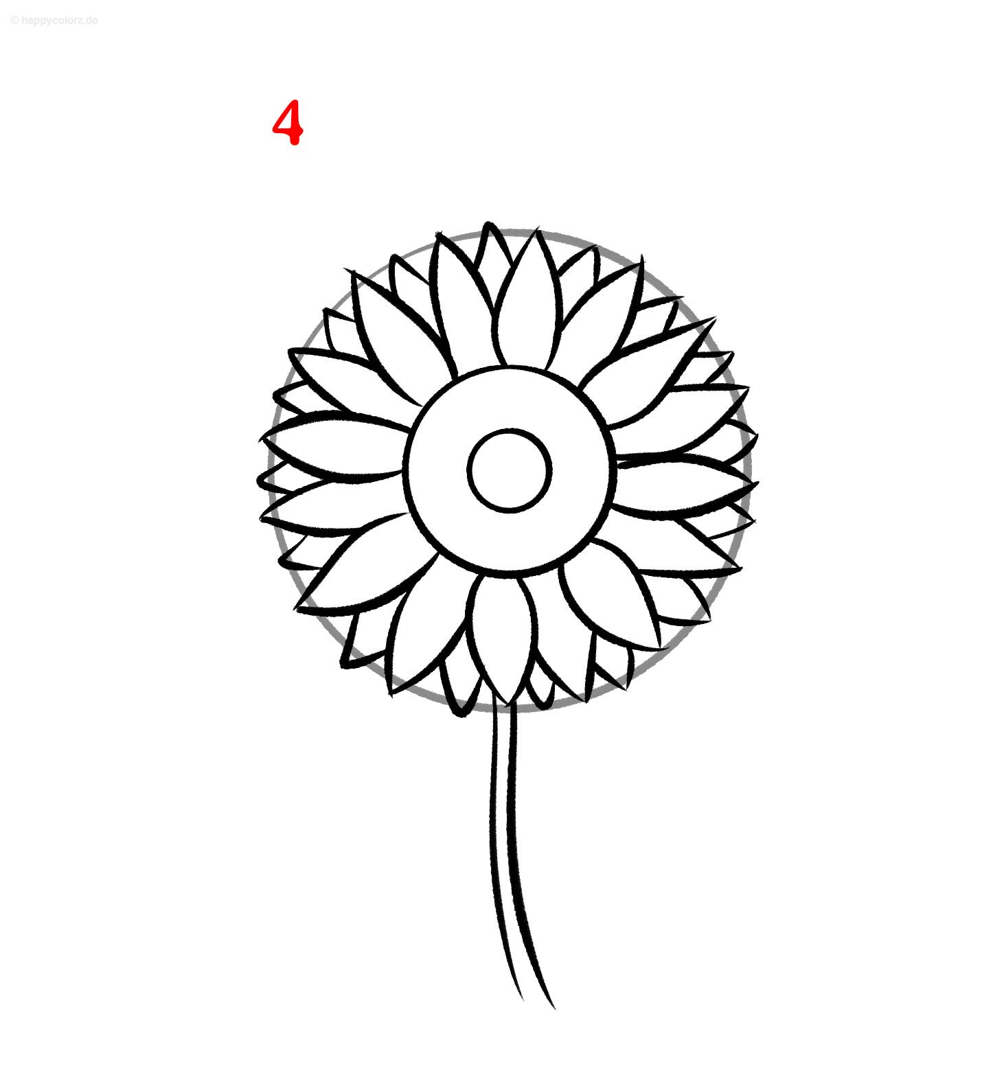 Sonnenblume Zeichnung - Schritt für Schritt