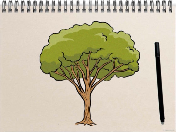 Baum zeichnen