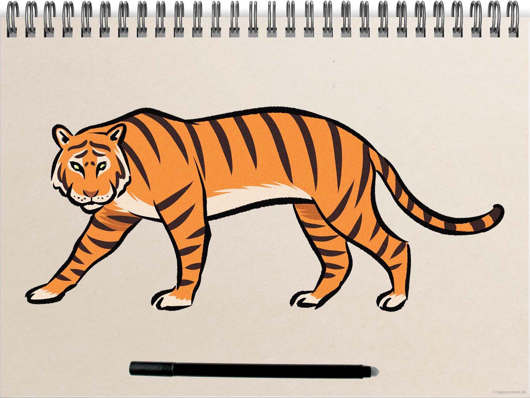 Tiger malen - Schritt-für-Schritt Anleitung mit Vorlagen