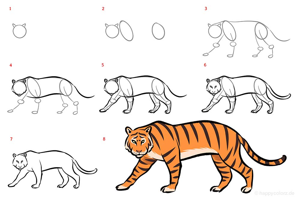 Tiger Zeichnen Für Anfänger How To Draw A Tiger - AusmalbilderFurKinder.de