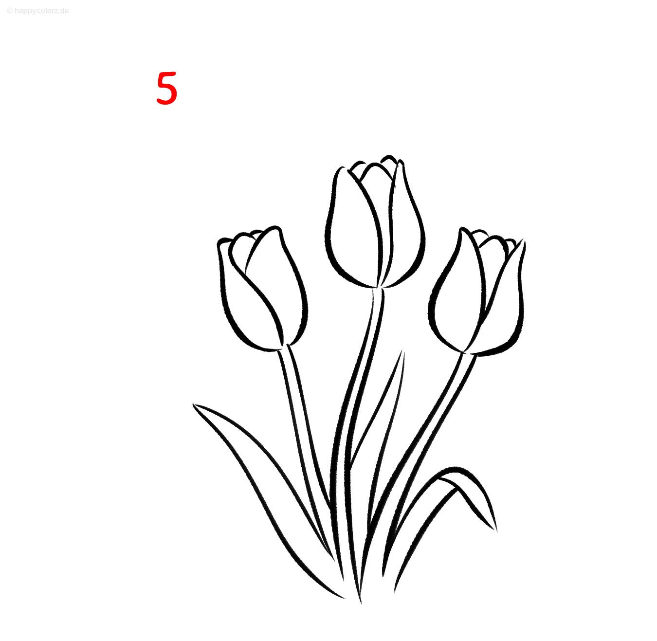 Anleitung: Tulpe zeichnen