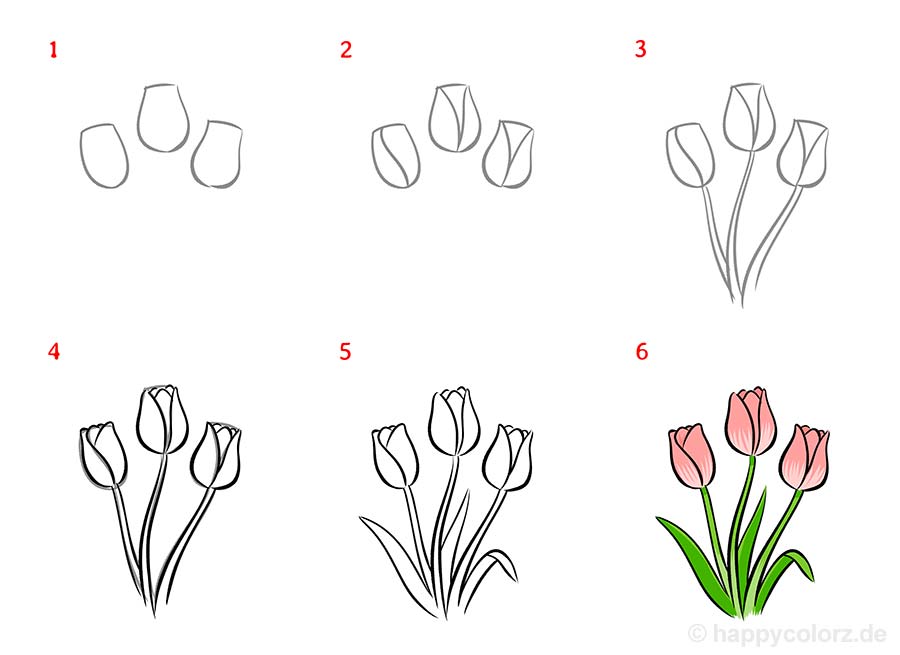 Tulpe malen - Schritt für Schritt
