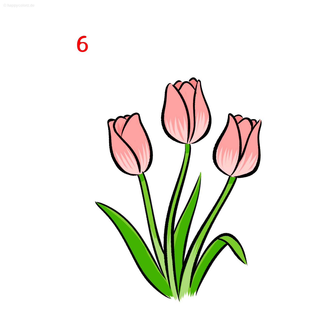 Tulpe zeichnen - Schritt für Schritt